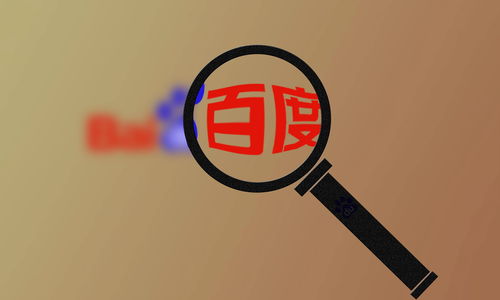 蜘蛛池怎么提交链接